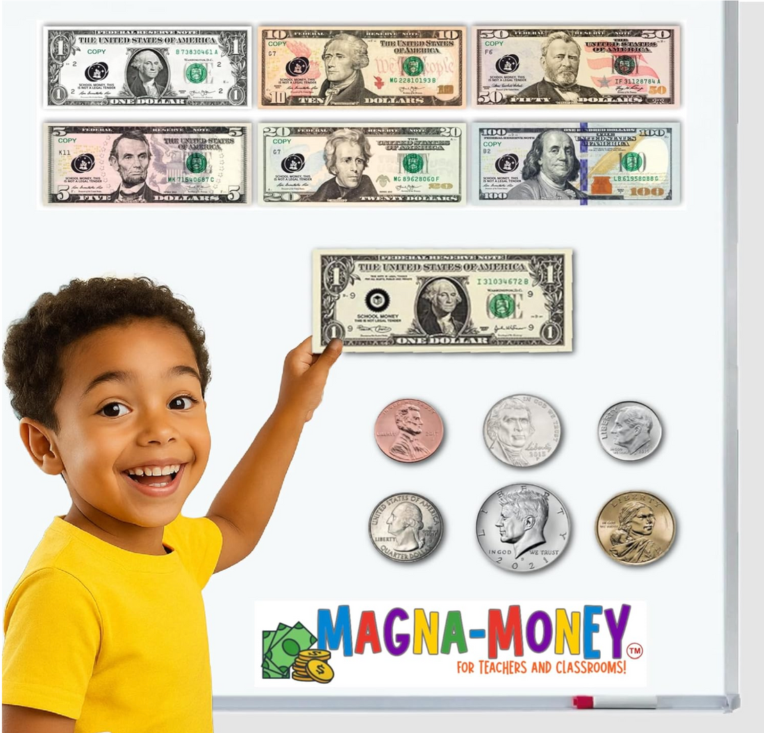 MAGNA-MONEY 48 PCS Large Double-Sided Magnetic Money
